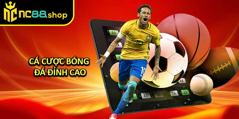 Cá Cược Bóng Đá Đỉnh Cao
