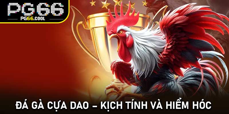 Đá gà cựa dao – Kịch tính và hiểm hóc
