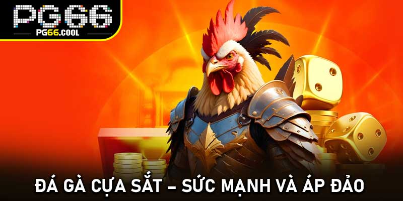 Đá gà cựa sắt – Sức mạnh và áp đảo