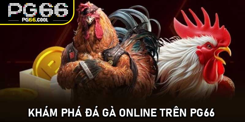 Khám phá đá gà online trên PG66